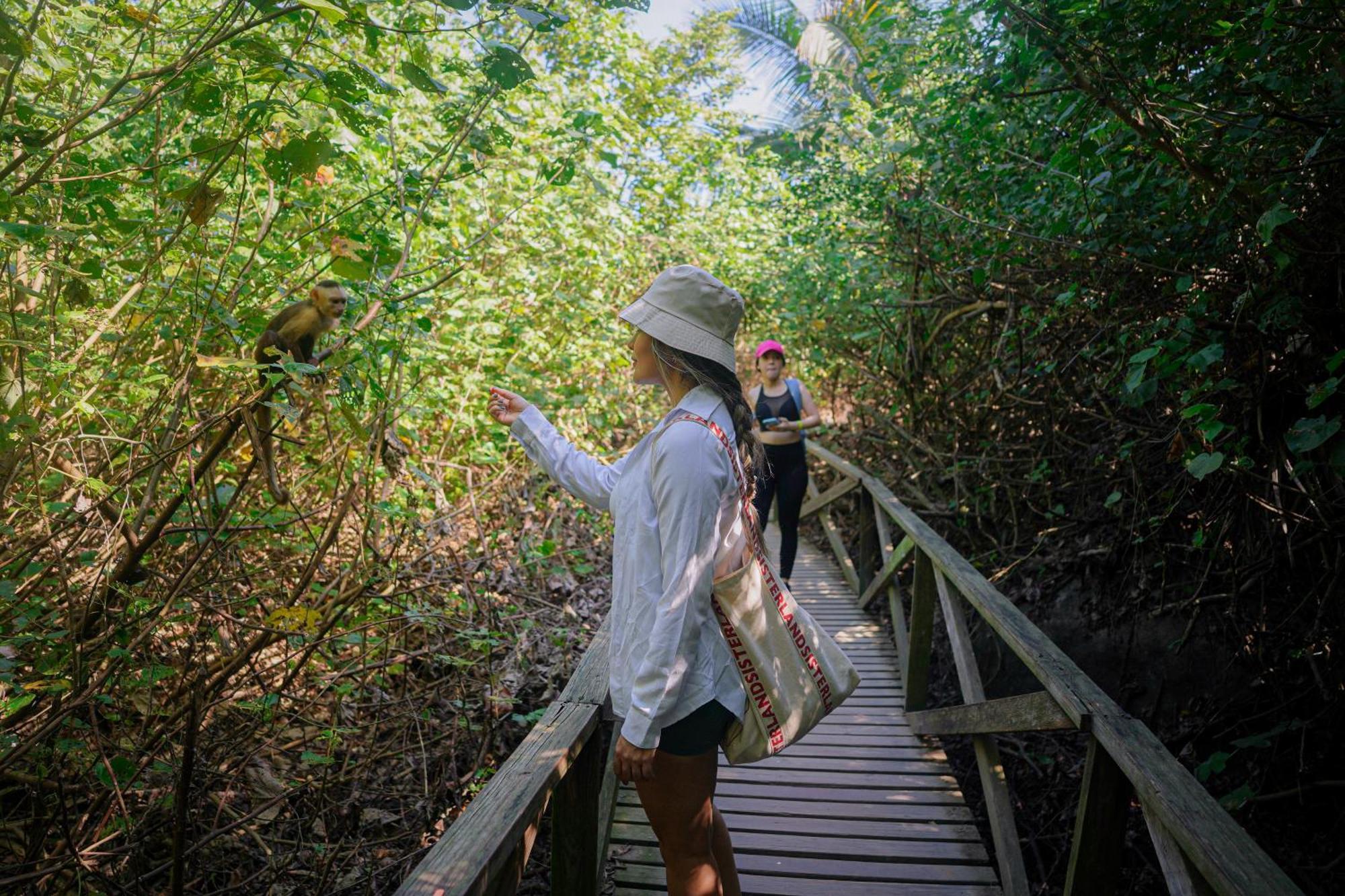 Ecohotel Yachay Tayrona Dentro Del Parque Tayrona El Zaino Εξωτερικό φωτογραφία