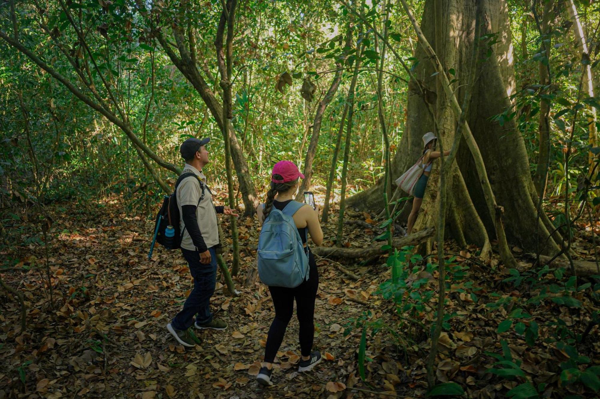 Ecohotel Yachay Tayrona Dentro Del Parque Tayrona El Zaino Εξωτερικό φωτογραφία