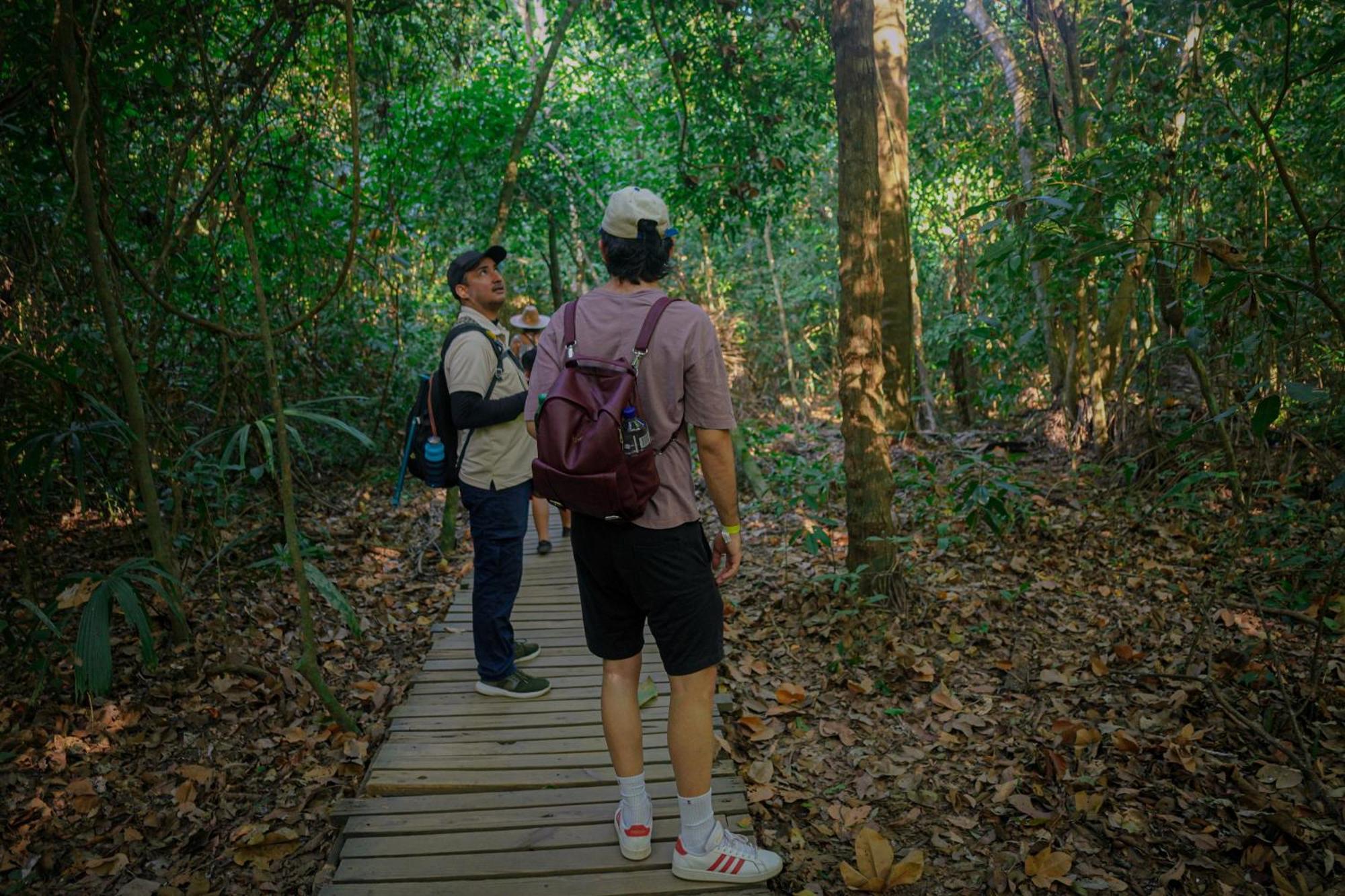 Ecohotel Yachay Tayrona Dentro Del Parque Tayrona El Zaino Εξωτερικό φωτογραφία
