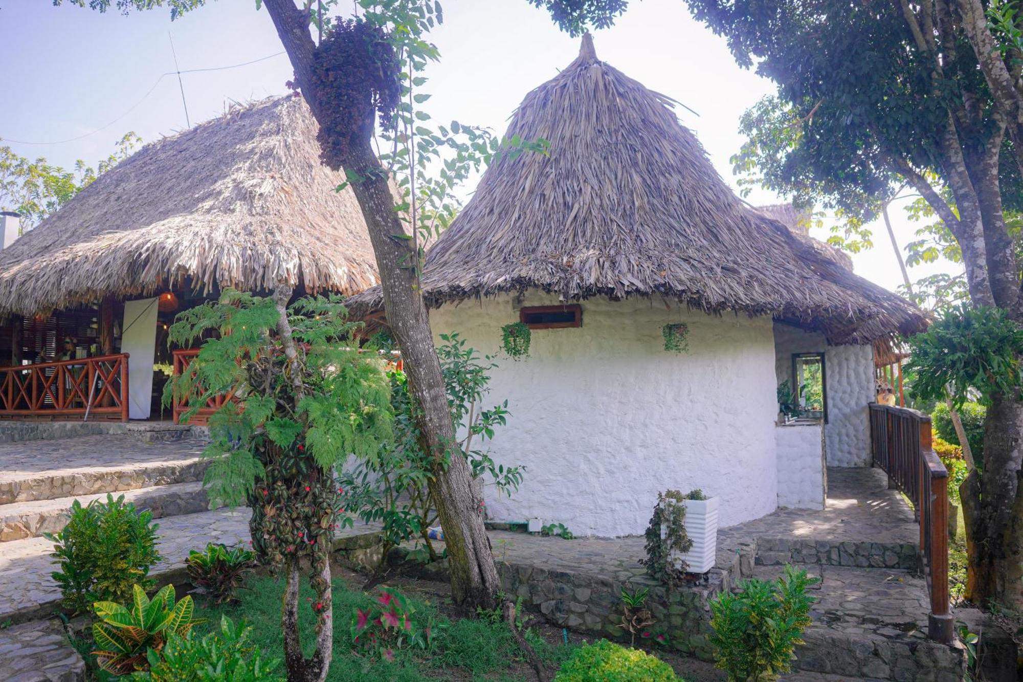 Ecohotel Yachay Tayrona Dentro Del Parque Tayrona El Zaino Εξωτερικό φωτογραφία