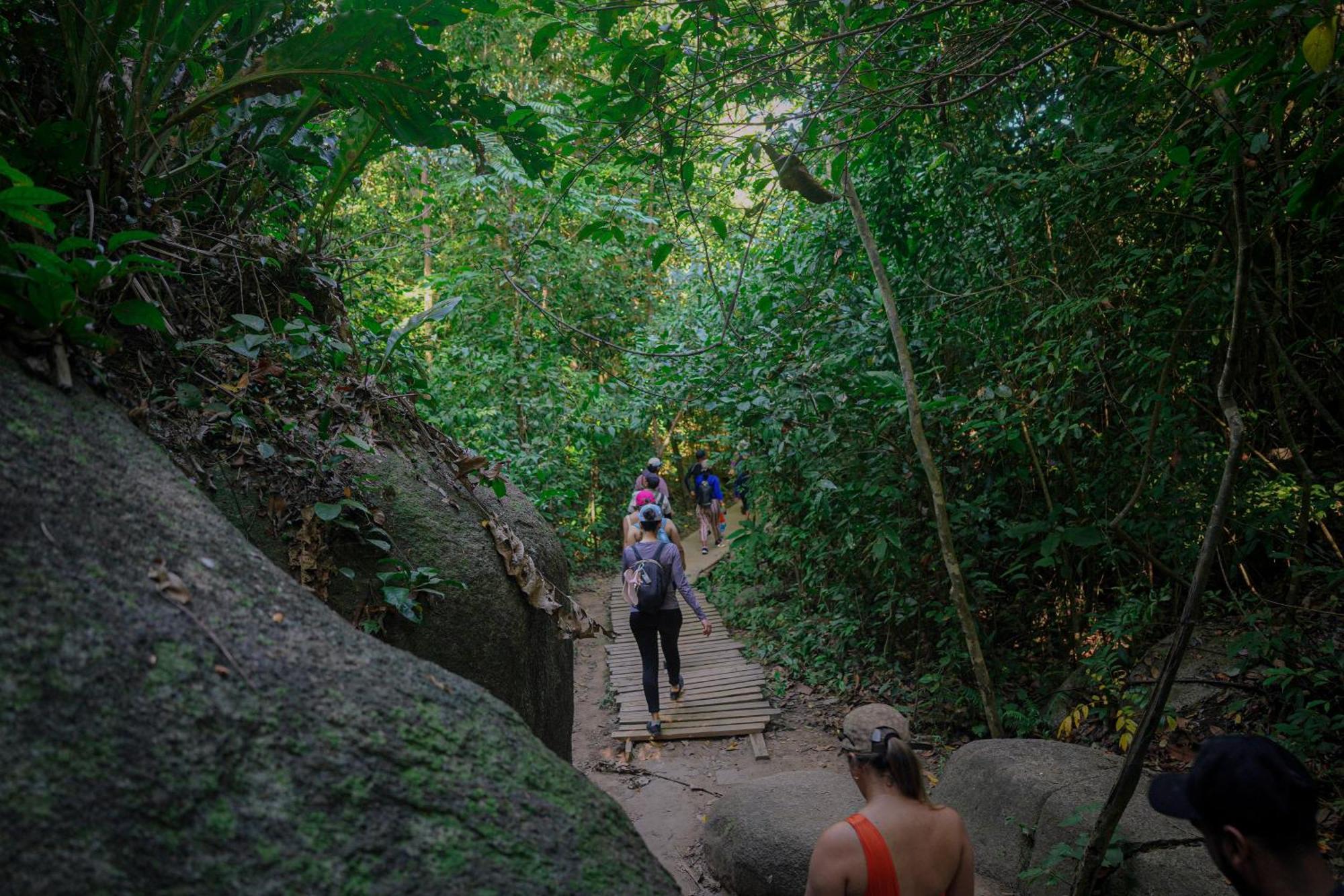 Ecohotel Yachay Tayrona Dentro Del Parque Tayrona El Zaino Εξωτερικό φωτογραφία