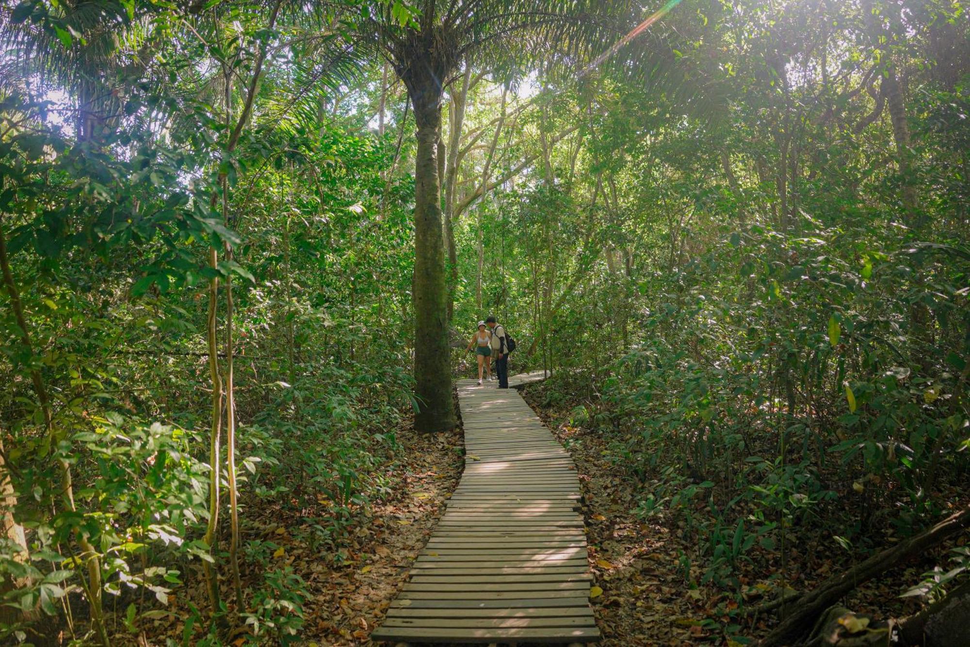 Ecohotel Yachay Tayrona Dentro Del Parque Tayrona El Zaino Εξωτερικό φωτογραφία