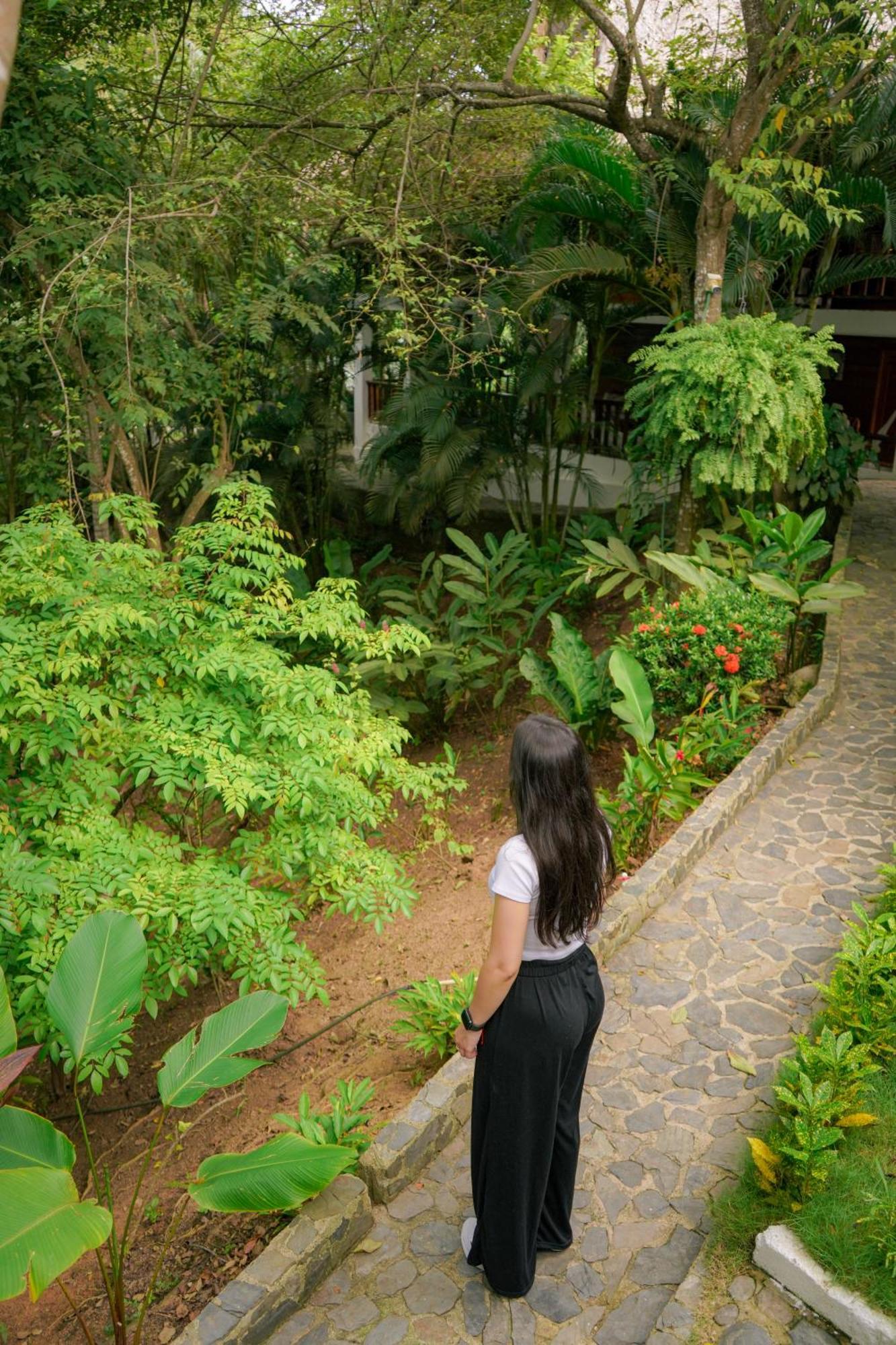 Ecohotel Yachay Tayrona Dentro Del Parque Tayrona El Zaino Εξωτερικό φωτογραφία
