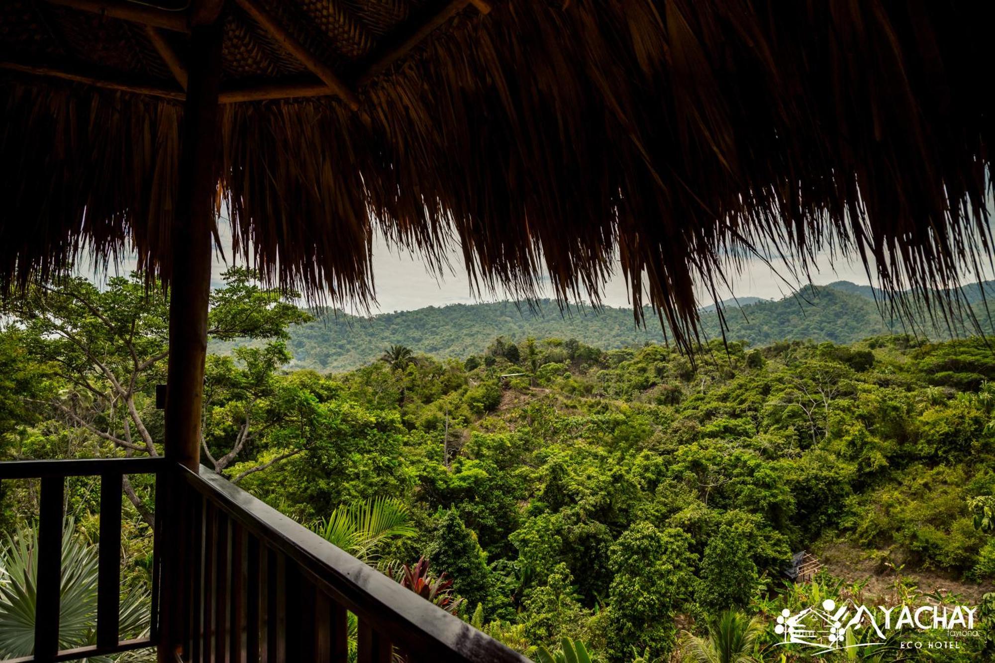 Ecohotel Yachay Tayrona Dentro Del Parque Tayrona El Zaino Εξωτερικό φωτογραφία