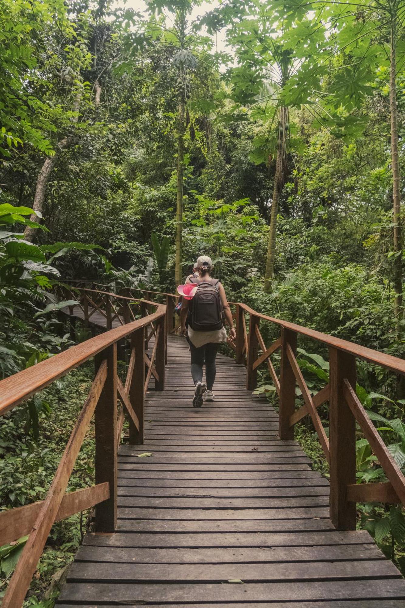 Ecohotel Yachay Tayrona Dentro Del Parque Tayrona El Zaino Εξωτερικό φωτογραφία