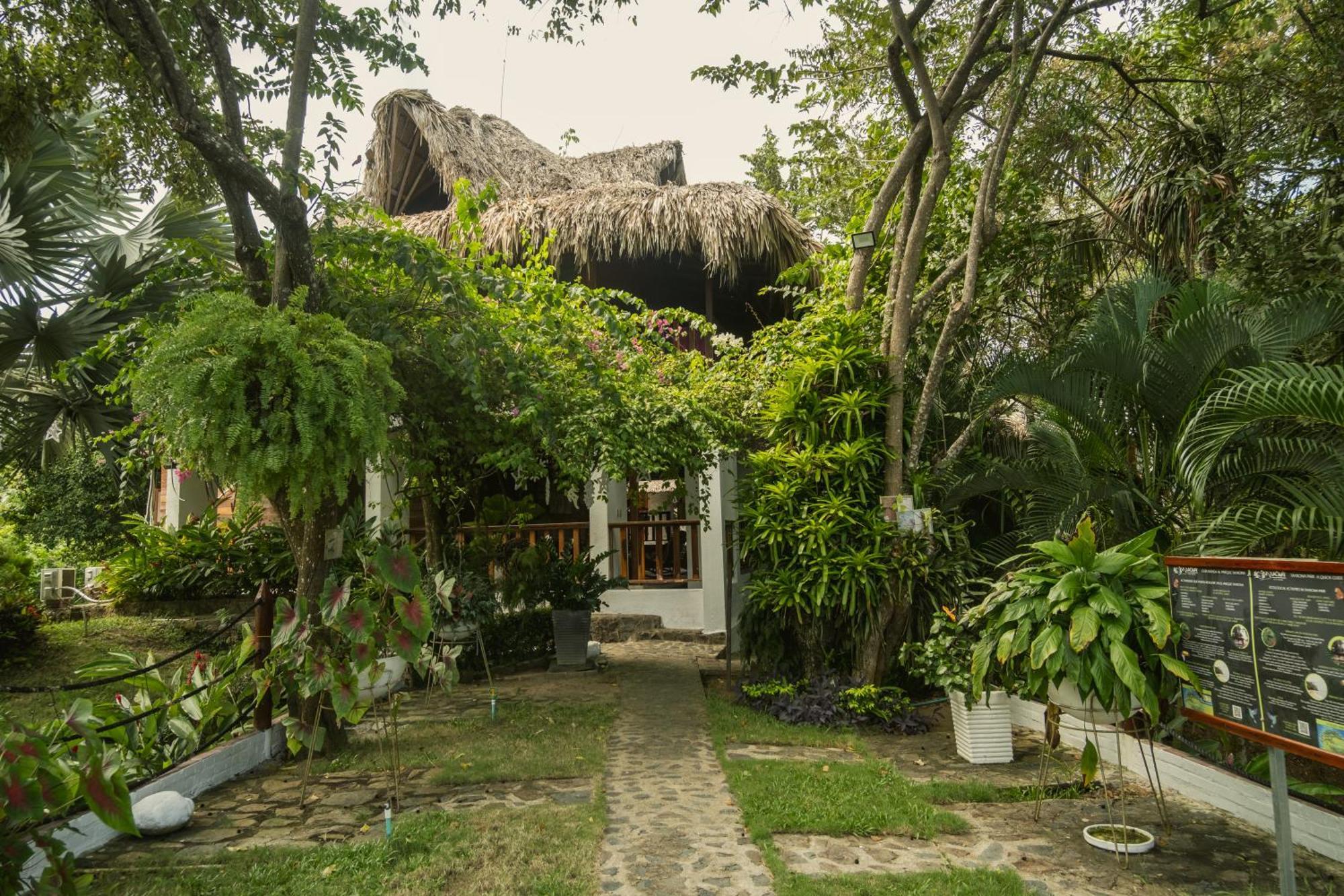 Ecohotel Yachay Tayrona Dentro Del Parque Tayrona El Zaino Εξωτερικό φωτογραφία